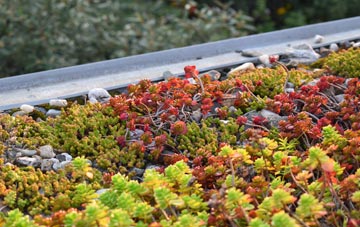 the cost of Crosby Ravensworth green roof installation
